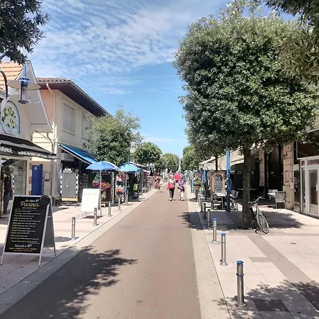 Σπίτι διακοπών La Maison Du Betey Pour 4 A 5 Personnes A 50 M